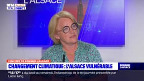 Alsace: comment la région peut-elle s'adapter face au changement climatique?