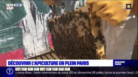 Les Vacances du Petit Colas : Apiculture au Palais de Tokyo !