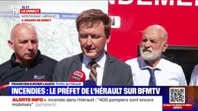 Incendies dans l'Hérault: le préfet indique "neuf départs de feu (...) le plus important a été fixé à 5 heures du matin"