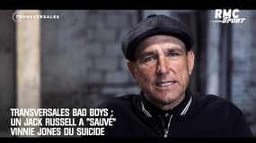 "Bad Boys" : Un Jack Russell a "sauvé" Vinnie Jones du suicide