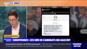 L'image du jour : Européennes, ces SMS de candidats qui agacent - 07/06