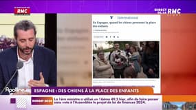 On n'a pas osé vous en parler : Espagne, des chiens à la place des enfants - 08/11