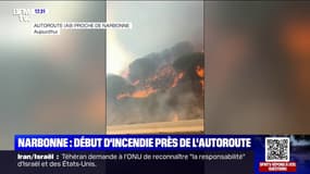 Narbonne: début d'incendie près de l'autoroute A9