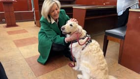 Neige, un chien d’assistance judiciaire présent au tribunal de Toulon
