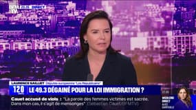 Projet de loi immigration: "Comment vous voulez convaincre la droite, quand vous êtes en train de retravailler un texte pour avoir les voix de la gauche", affirme Laurence Saillet