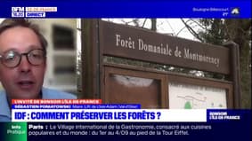 Val-d'Oise: le maire de l'Isle-Adam espère que la forêt de Montmorency obtienne le statut de forêt de protection