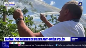 Rhône : 150 mètres de filets anti-grêle volés