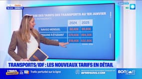 Île-de-France: le détail des nouveaux tarifs des transports