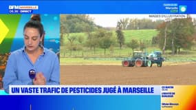 Un vaste trafic de pesticides jugé à Marseille