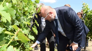 Le ministre de l'Agriculture Stéphane Travert, le 4 août 2017 en visite à Galgon (Gironde).