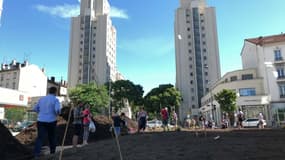 Un potager de 800 m2 a vu le jour à Villeurbanne.