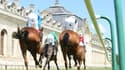 Les pronos hippiques du 13 avril 2021