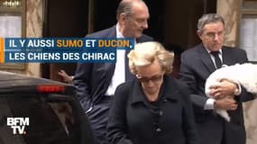 Ducon, Sumo, Némo... avoir un chien, c'est une tradition à l'Élysée