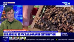 Bouches-du-Rhône: quel avenir pour les apiculteurs provençaux?