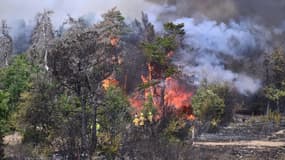 Des pompiers luttent contre un incendie dans le parc des Grands Causses, le 9 août 2022 à Boyne, en Aveyron