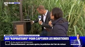 La ville de Hyères, dans le Var, a installé des "aspirateurs" pour capturer les moustiques qui prolifèrent