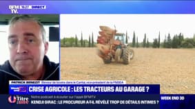 Mobilisation des agriculteurs: "S'il n'y a pas de concrétisation très rapidement, les choses peuvent repartir", alerte Patrick Benezit (FNSEA)