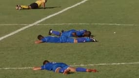 Les joueurs et l'arbitre tentent d'échapper aux piqûres