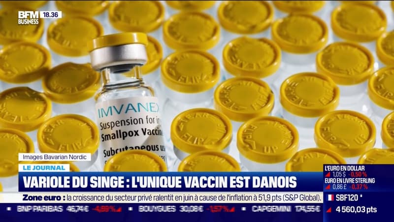 Variole du singe : l'unique vaccin est danois