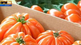 Pesticides: les effets néfastes pour le grand public