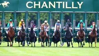 Les pronos hippiques du dimanche 20 juillet 2025