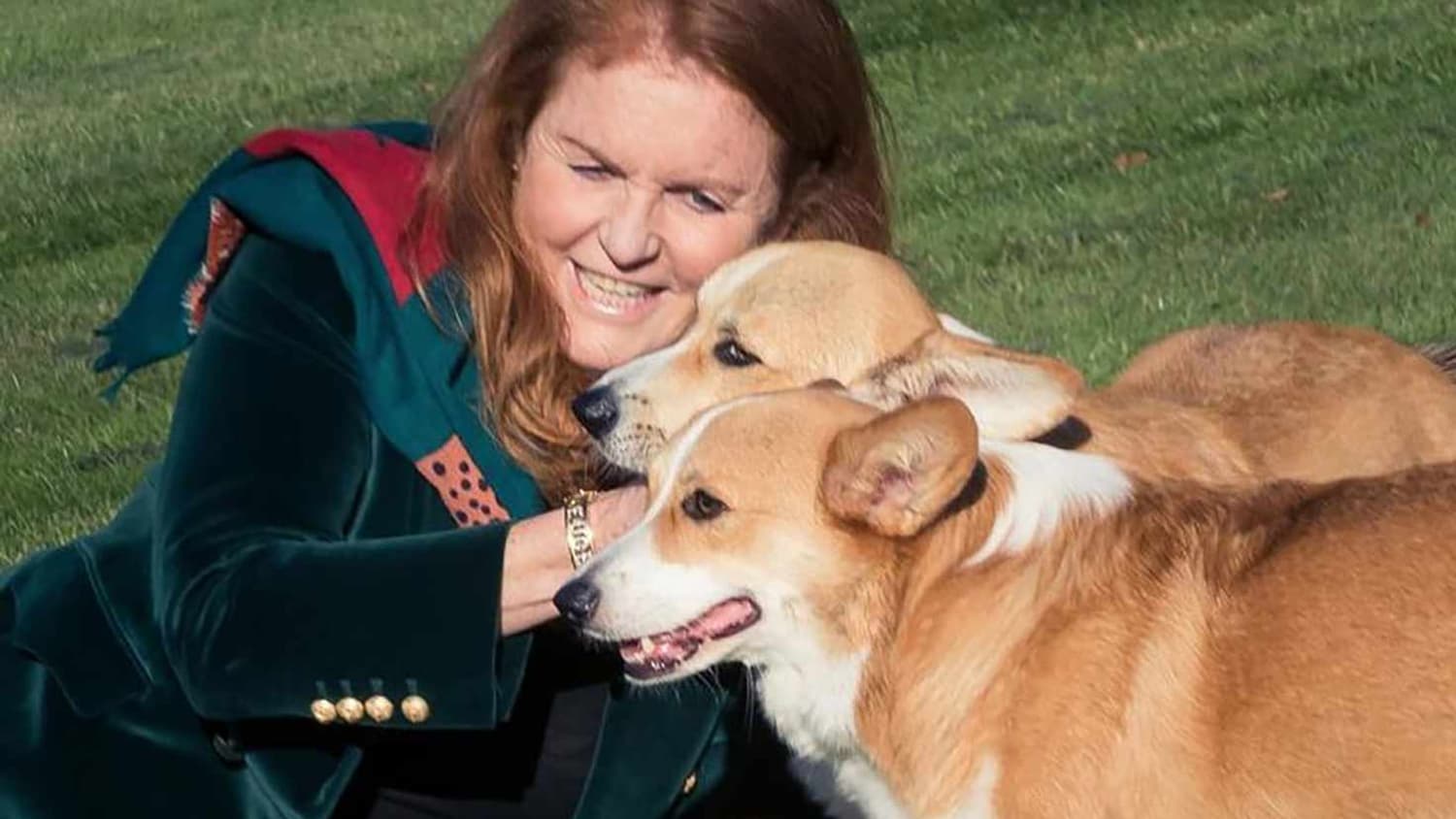 La duchesse d'York, Sarah Ferguson, posant avec les corgis de la reine, en octobre 2022. La duchesse d'York, Sarah Ferguson, posant avec les corgis de la reine, en octobre 2022.