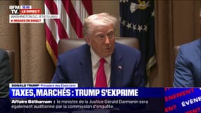 Taxes: "Notre pays gagne environ 2 milliards par jour, c'est sans précédent", déclare Donald Trump