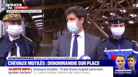 Chevaux mutilés: pour Julien Denormandie "c'est d'une cruauté sans nom, ignoble, barbare"