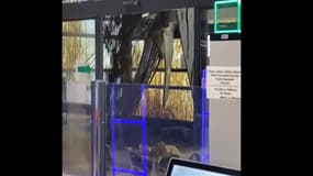 Un sous-plafond s'effondre au supermarché Leclerc d'Agen, le 25 janvier 2024