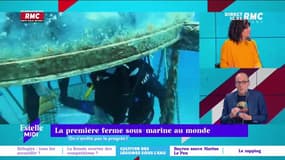 C’est quoi le progrès ? : La première ferme sous-marine au monde - 28/02