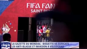 La Gazette du mondial : Biquette et suricate, loi anti-blague et invasion de moustiques