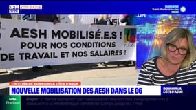 Mobilisation des AESH dans les Alpes-Maritimes: encore "des familles en attente d'accompagnement"