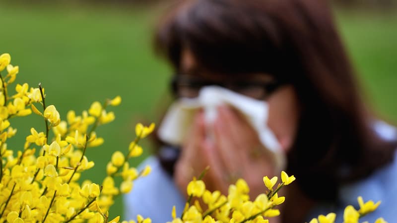 Pollution et pollen, les bêtes noires des allergiques