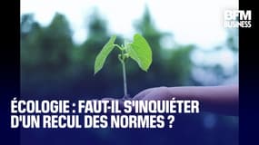  Écologie : faut-il s'inquiéter d'un recul des normes ? 