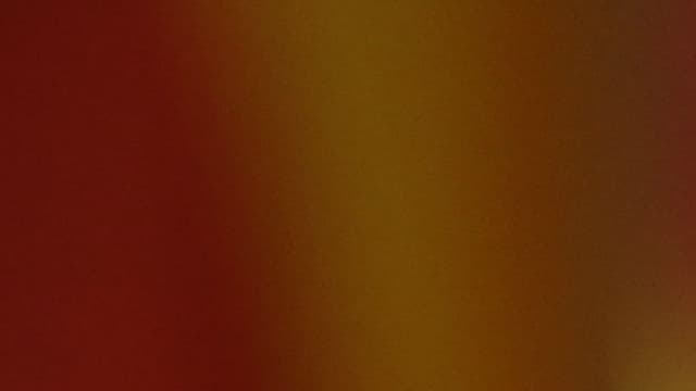 Le président de la Catalogne organise un référendum en septembre 2017, concernant l'indépendance de sa région. 