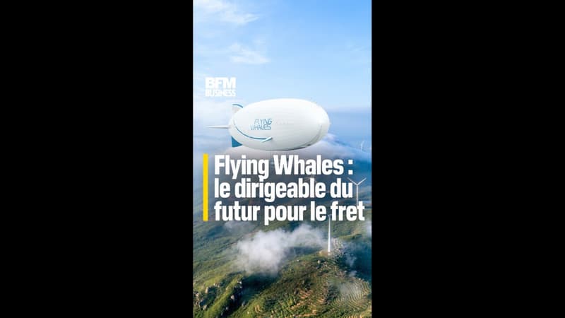 Flying Whales : le dirigeable du futur pour le fret