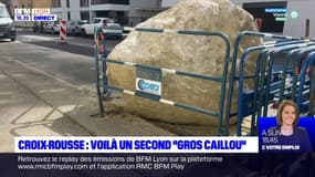 Il y aura bien un second "Gros Caillou" à la Croix-Rousse !