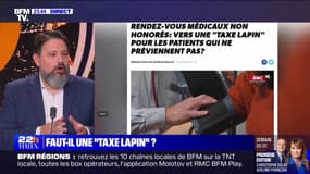 Faut-il une "taxe lapin" ? - 15/11