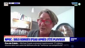 Nord-Pas-de-Calais: un été "humide" avec des "des pluies très violentes, très abondantes"