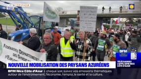 Colère des agriculteurs: une opération escargot prévue dans les Alpes-Maritimes jeudi matin