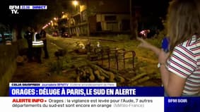 Des orages violents et des pluies diluviennes s'abattent sur Paris