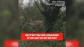 La vidéo de Pierre Rigaux, le 1er octobre 2022.
