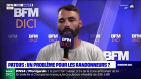 Alpes-du-Sud: beaucoup d'attaques de loup?