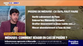 Baignade: comment réagir en cas de piqûre de méduse ?