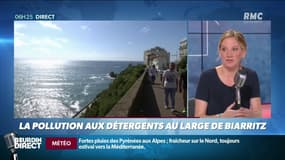 "Objectif Terre": comment nos lessives polluent nos côtes à cause des détergents