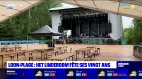 Loon-Plage: le festival Het Lindeboom fête ses vingt ans 