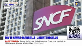 TGV Le Havre-Marseille: les élus locaux s'inquiètent du devenir de la liaison