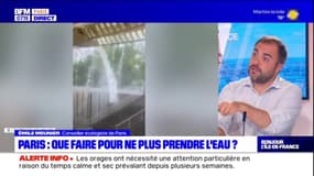 Emile Meunier, conseiller écologiste de Paris, revient sur les 300 hectares d'espaces verts supplémentaires promis par la municipalité
