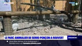 Le parc animalier de Serre-Ponçon a rouvert au public