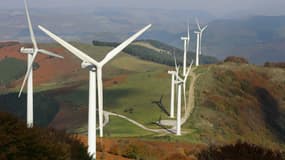 Selon Emmanuel Macron, la production d'électricité issue du parc éolien terrestre doit tripler d'ici 2030.